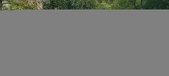 Enlarge photo 255