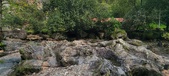 Enlarge photo 256