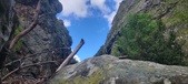 Enlarge photo 257
