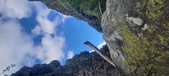 Enlarge photo 259