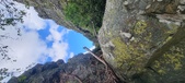 Enlarge photo 260