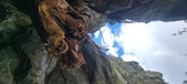 Enlarge photo 263