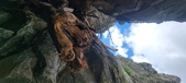 Enlarge photo 264
