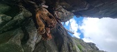 Enlarge photo 265