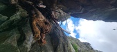 Enlarge photo 266