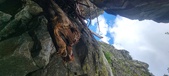 Enlarge photo 267