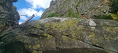Enlarge photo 269