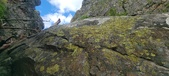Enlarge photo 270