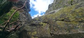 Enlarge photo 272