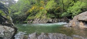 Enlarge photo 274