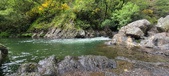 Enlarge photo 277
