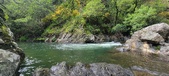 Enlarge photo 279