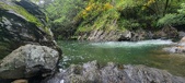 Enlarge photo 281