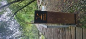 Enlarge photo 282