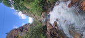 Enlarge photo 295