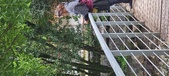 Enlarge photo 301