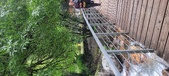 Enlarge photo 302
