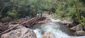 Enlarge photo 333