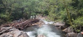 Enlarge photo 334