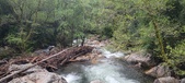 Enlarge photo 335