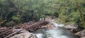 Enlarge photo 336