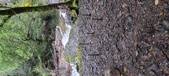 Enlarge photo 338