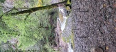 Enlarge photo 339