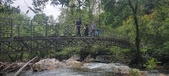 Enlarge photo 340