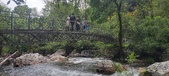 Enlarge photo 341
