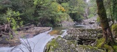 Enlarge photo 342