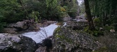 Enlarge photo 343