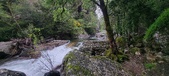Enlarge photo 344