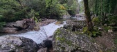 Enlarge photo 345