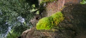 Enlarge photo 361