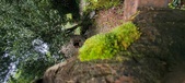 Enlarge photo 362
