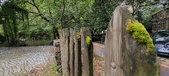 Enlarge photo 363
