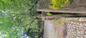 Enlarge photo 365