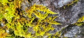 Enlarge photo 367
