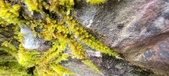 Enlarge photo 368