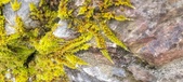 Enlarge photo 370