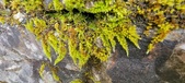 Enlarge photo 371