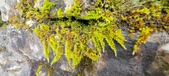Enlarge photo 373