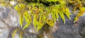 Enlarge photo 374