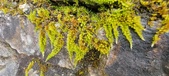 Enlarge photo 375