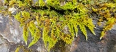 Enlarge photo 376