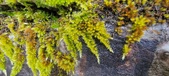 Enlarge photo 379