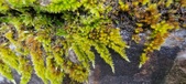Enlarge photo 380