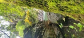 Enlarge photo 383