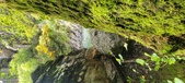 Enlarge photo 384