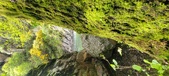 Enlarge photo 385